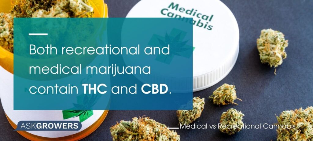 THC and CBD in Cannabis
