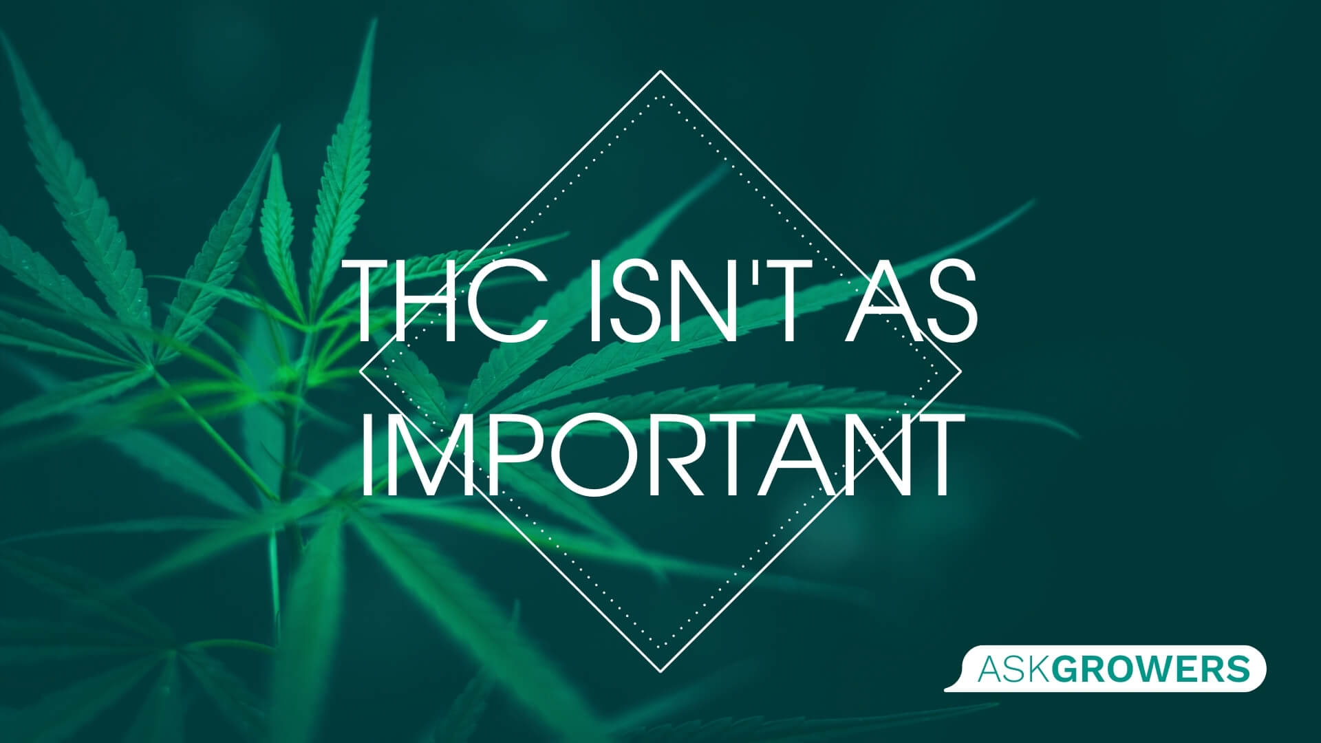 THC Isn't As Important