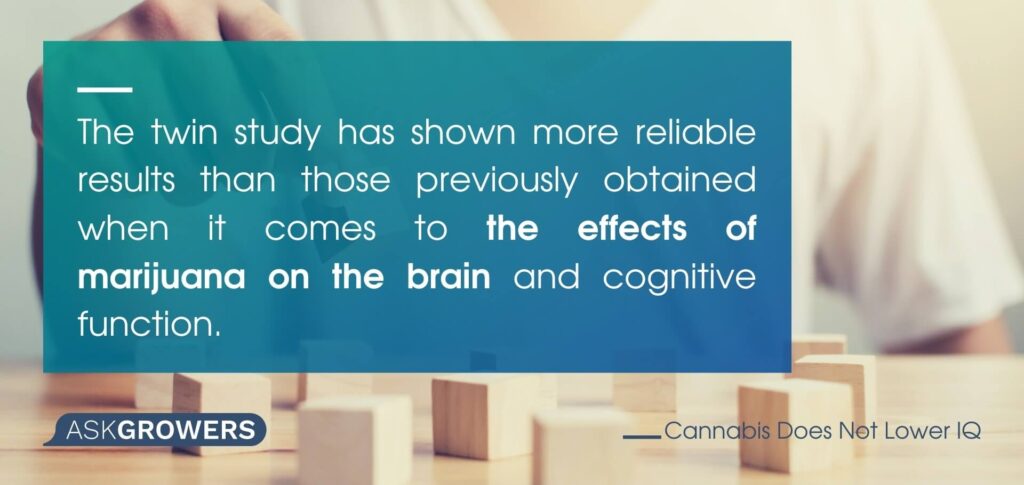 The Effects of Marijuana on the Brain