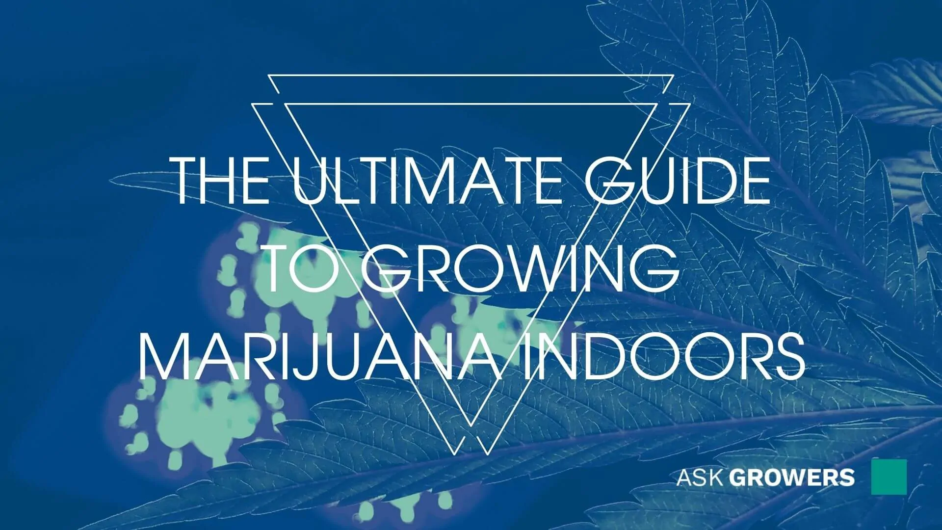 How to Grow Marijuana Indoors: A Comprehensive Guide to Successful Indoor Cultivation