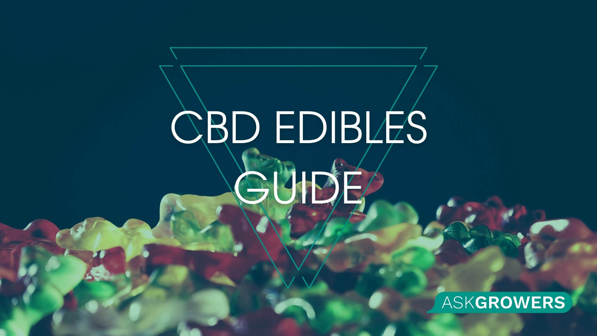 Discover the World of CBD Edibles: Types, Flavors, and How to Use, Pros and Cons