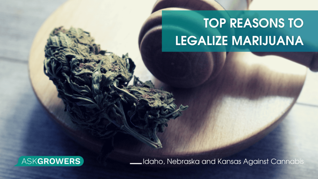 Top Reasons to Legalize Marijuana