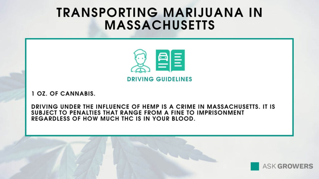 Transporting marijuana in Massachusetts