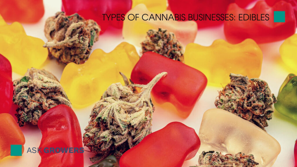 Types Of Cannabis Businesses: Edibles