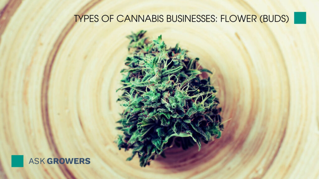 Types Of Cannabis Businesses: Flower (Buds)