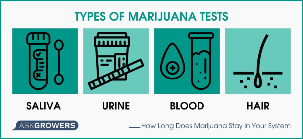 Types of Marijuana Tests