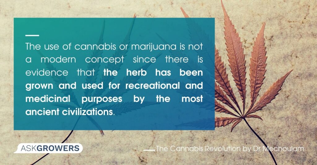 Use of Cannabis in History