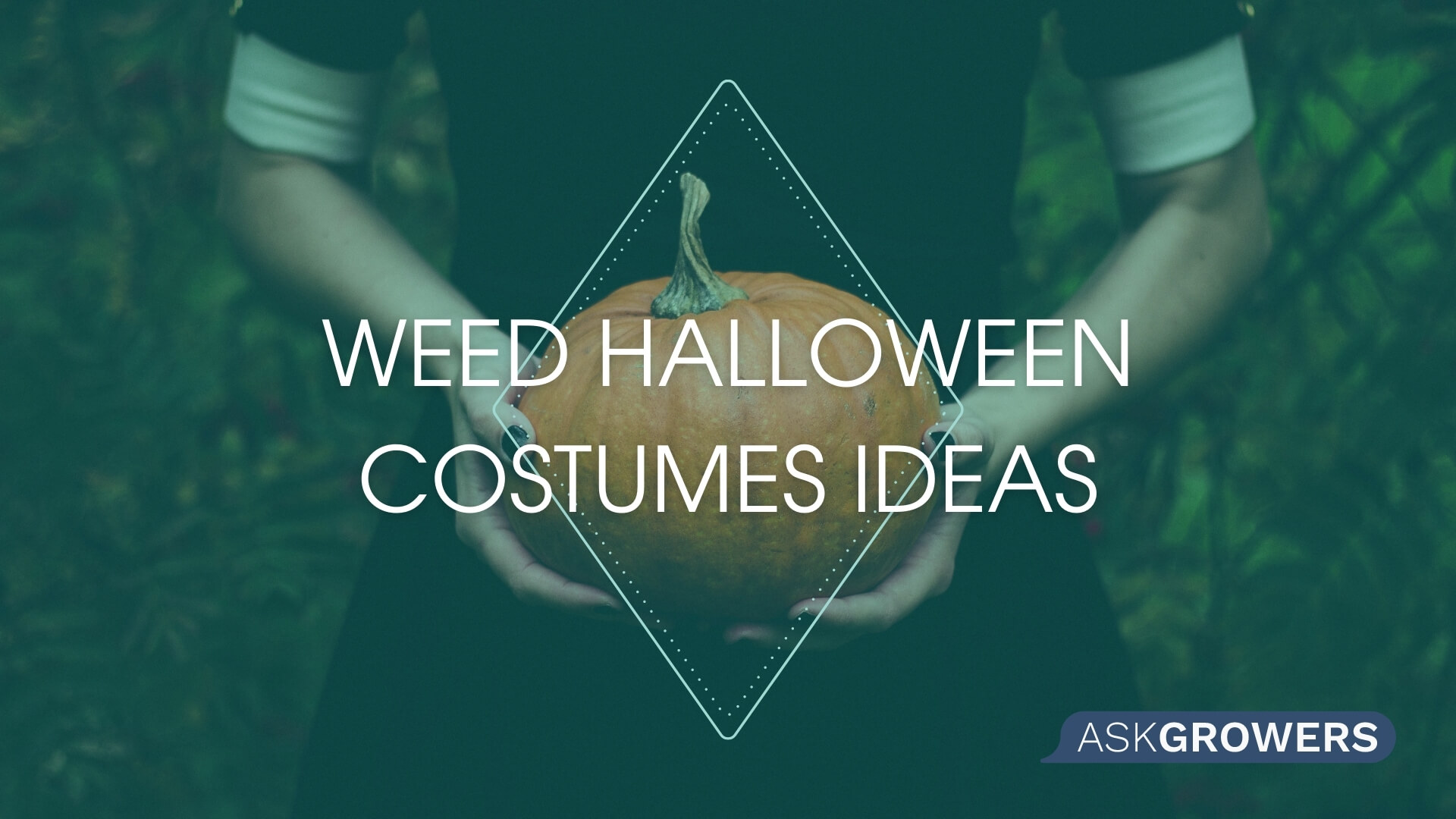 Best Halloween Weed Costumes for Everyone!