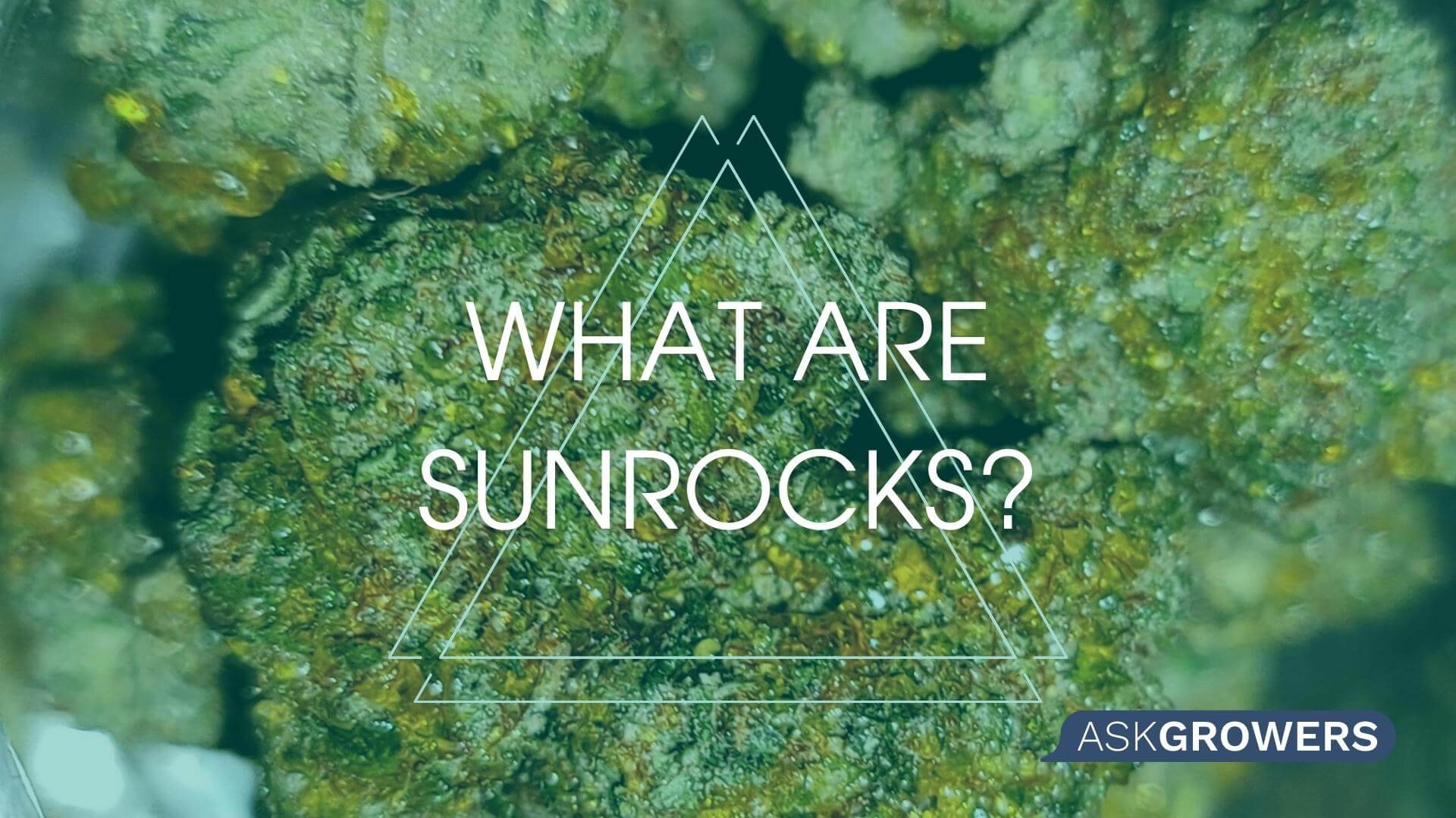 What Are Sunrocks? What Is the Difference Between Cannabis Caviar, Sunrock, and Moonrock?