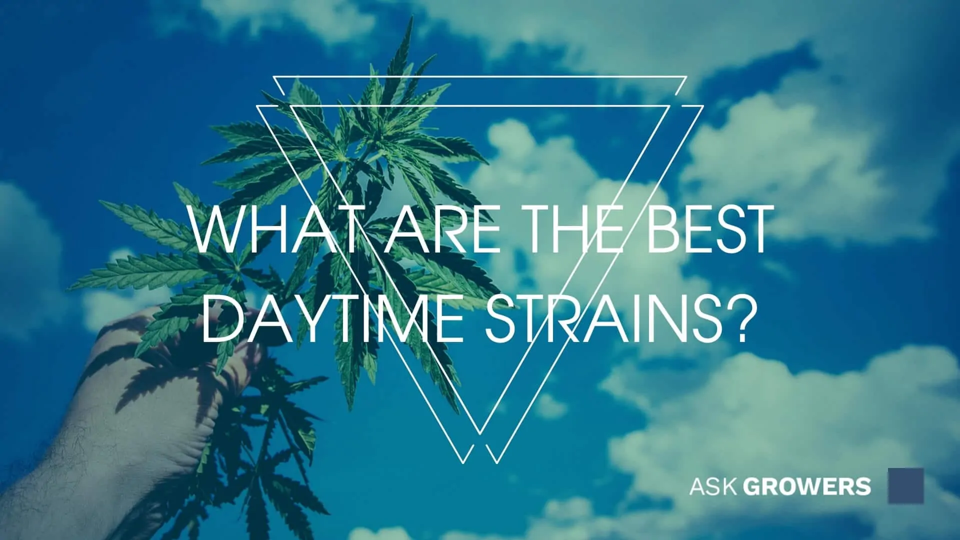 What Are the Best Daytime Weed Strains for Energy and Focus?