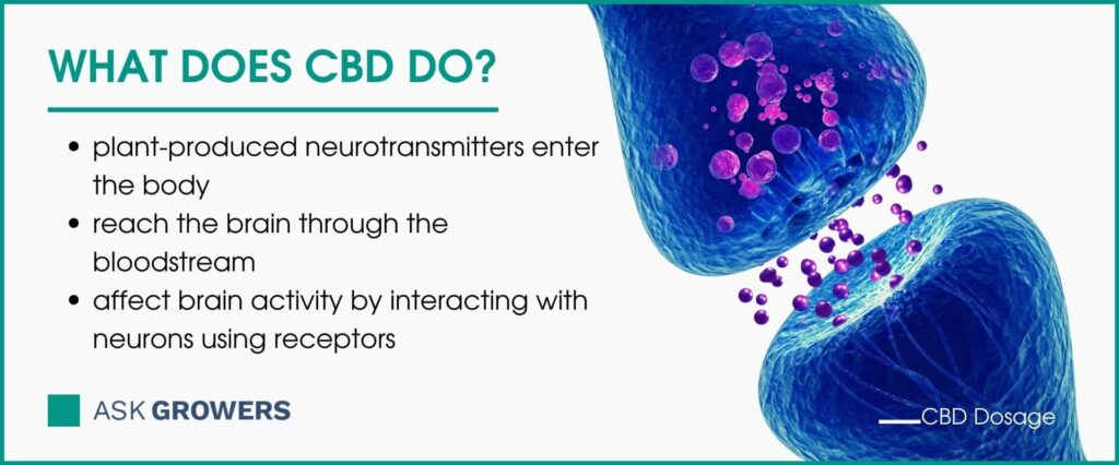 What Does CBD Do