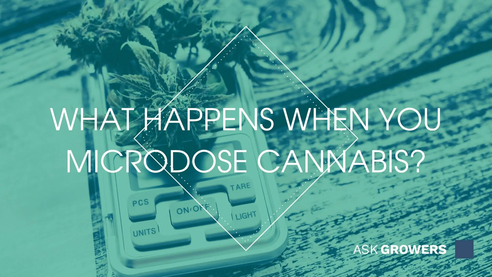 What Happens When You Microdose Cannabis?