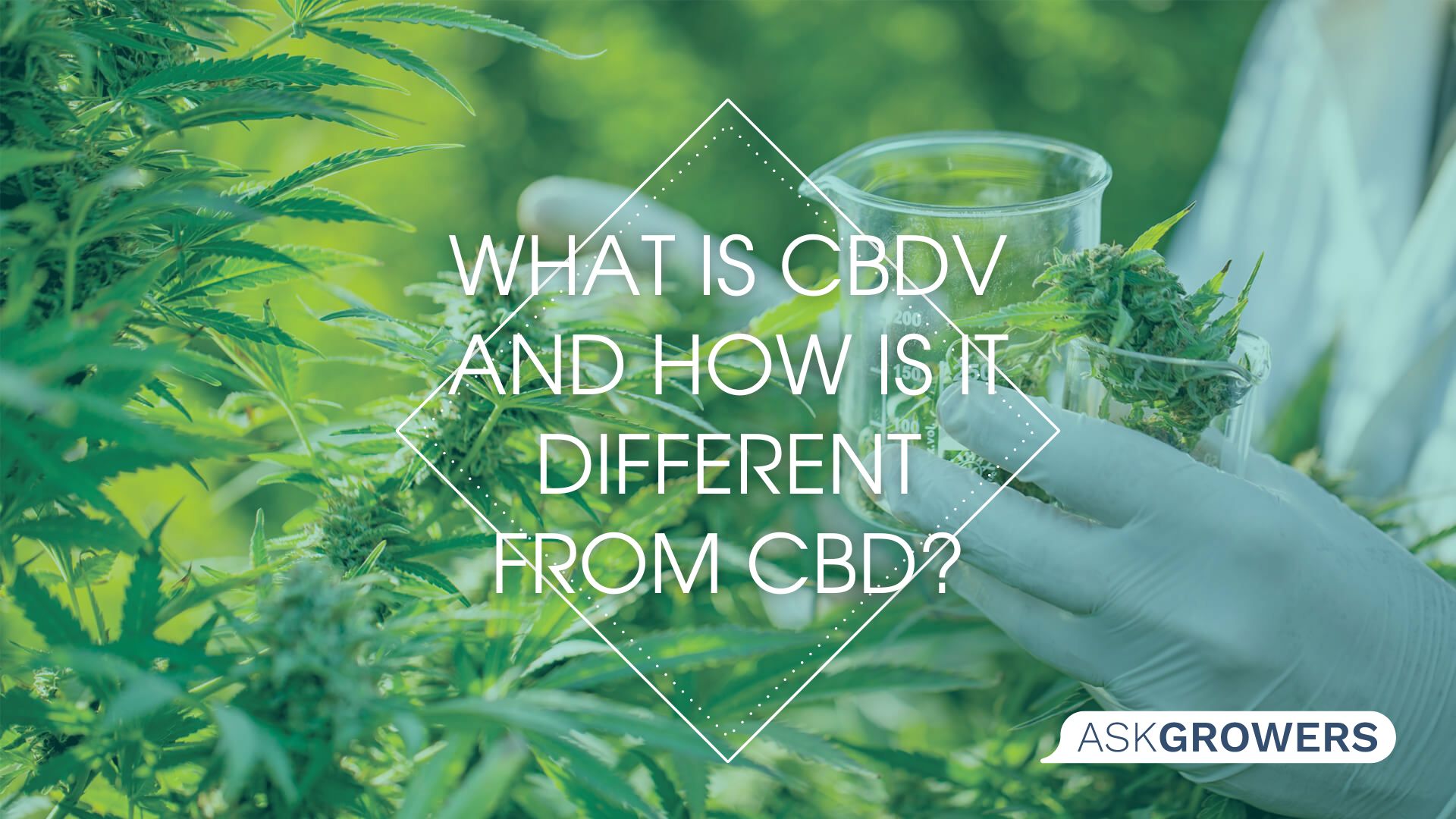 What is CBDV and How is It Different From CBD?