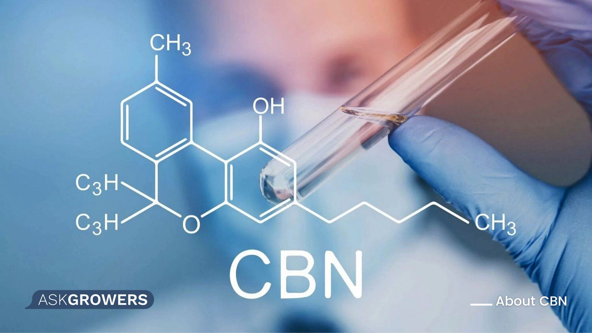 what is cbn cannabinoid