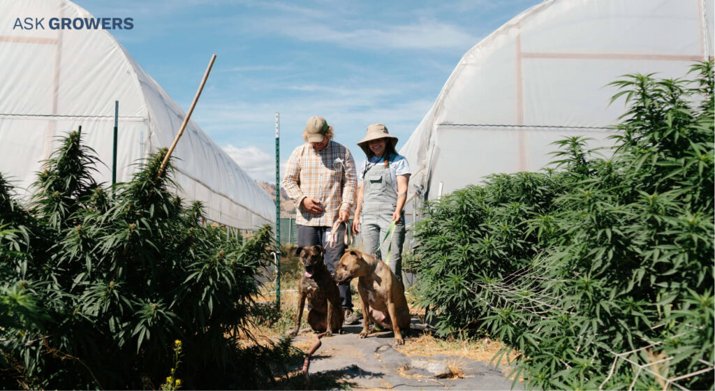 Wildwood Flower Farm picture