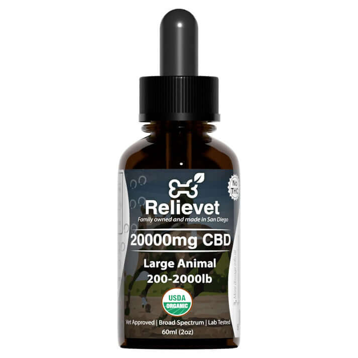 CBD Oil For Horses
