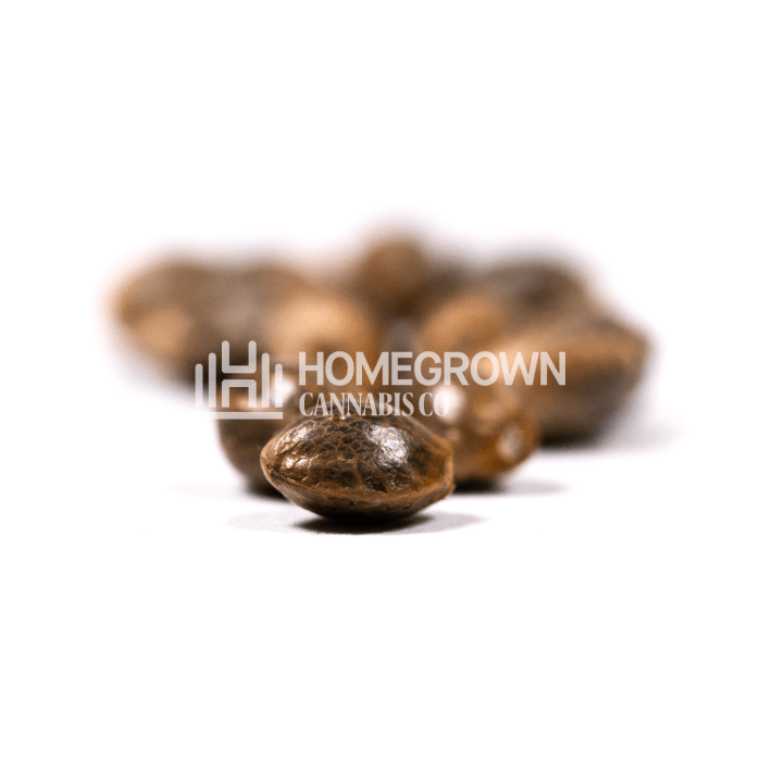 Alien Technology Seeds for sale