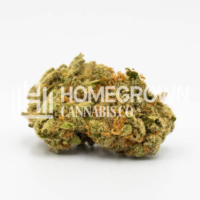 Cbd Black Diesel Seeds for sale