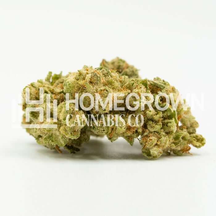 Northern Lights Seeds for sale