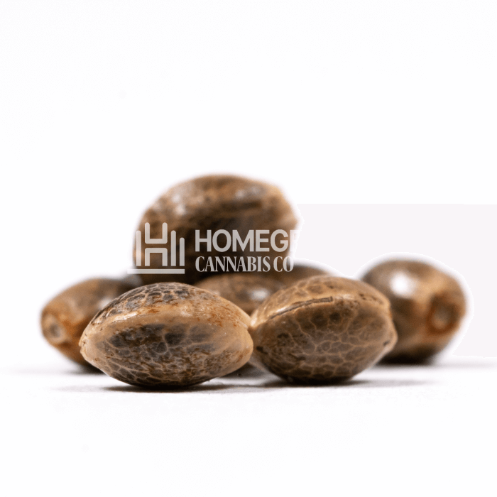 CBD Fruit Seeds for sale