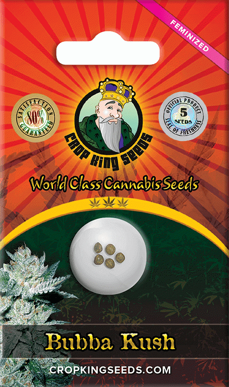 Bubba Kush Seeds for sale