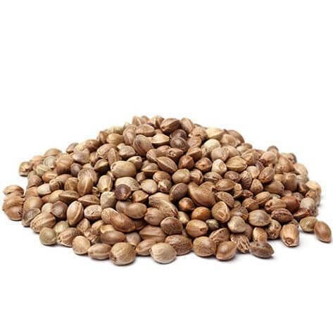 CBD Carma Seeds for sale
