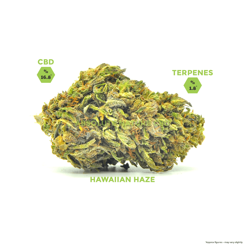 Hawaiian Haze CBD Hemp Flower Buds logo