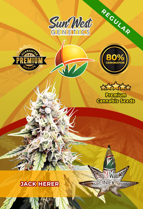 Jack Herer Seeds for sale