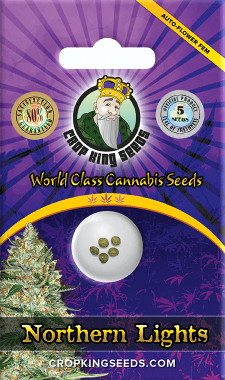 Northern Lights Seeds for sale