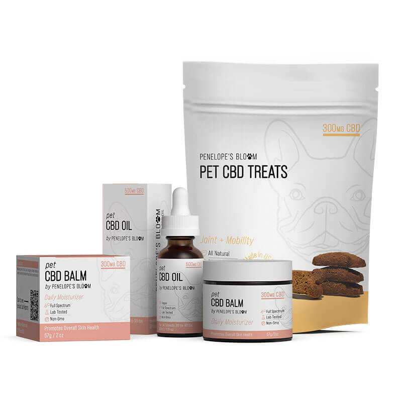 CBD for Dogs – Joint + Mobility Bundle