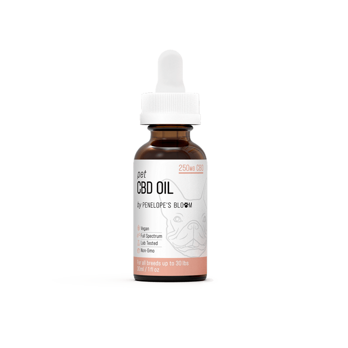 CBD Oil For Dogs 250mg