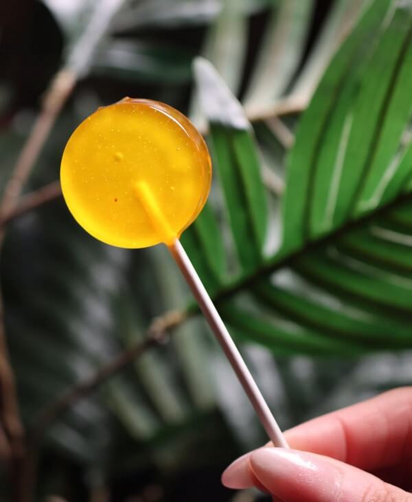 Chef's Lollipop - Orange logo