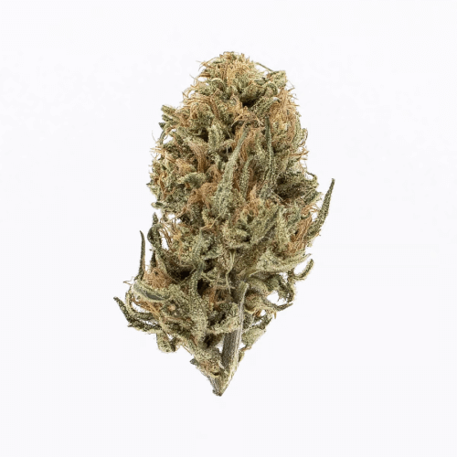 Enchanted Strains Acapulco Gold - Sativa logo