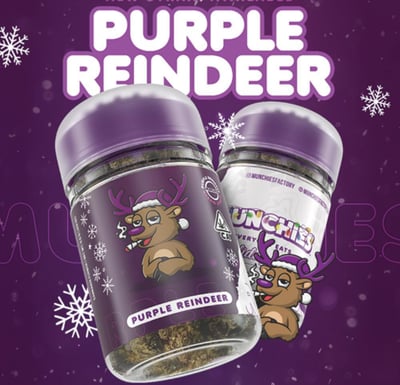 Purple Reindeer logo