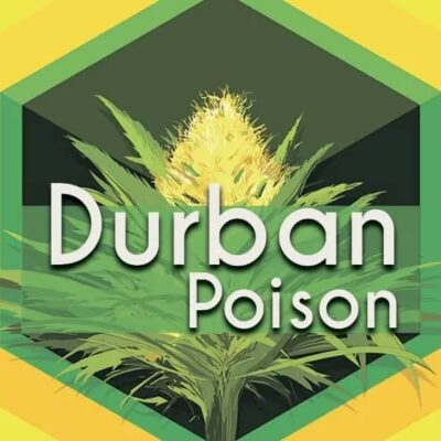 Durban Poison Logo