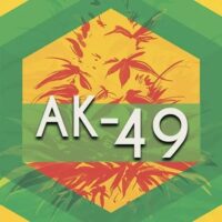 AK-49 Logo