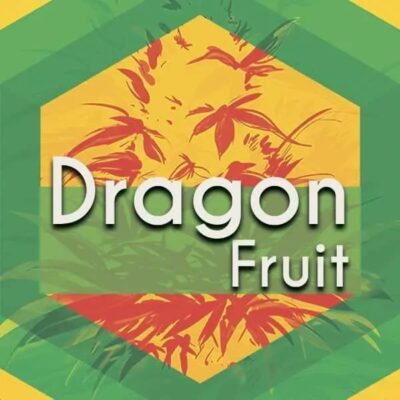 Dragon Fruit Logo