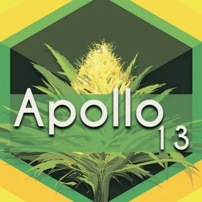 Apollo 13 Logo