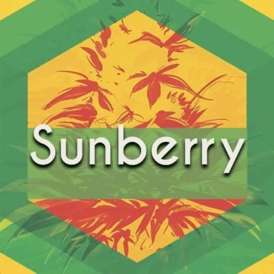 Sunberry Logo