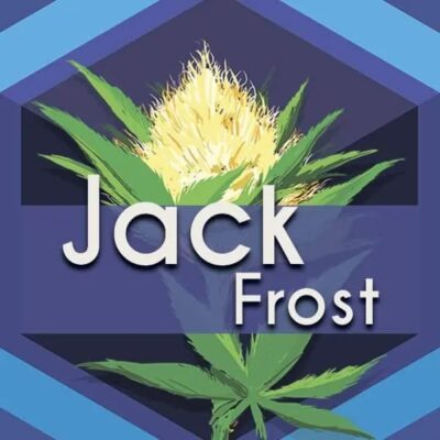Jack Frost Logo
