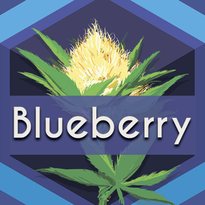 Blueberry Logo