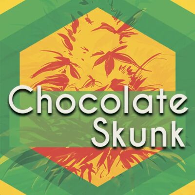 Chocolate Skunk Logo