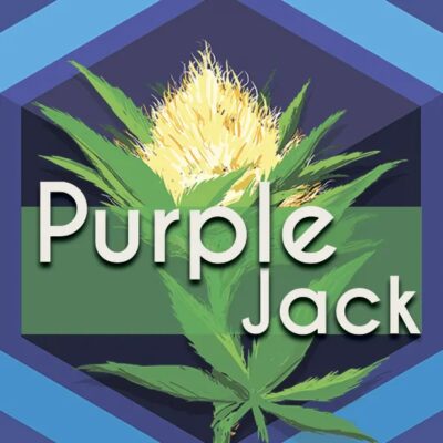 Purple Jack (Purple Jack Herer) Logo