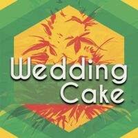 Wedding Cake Logo