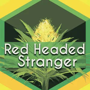 Red Headed Stranger (RHS), AskGrowers
