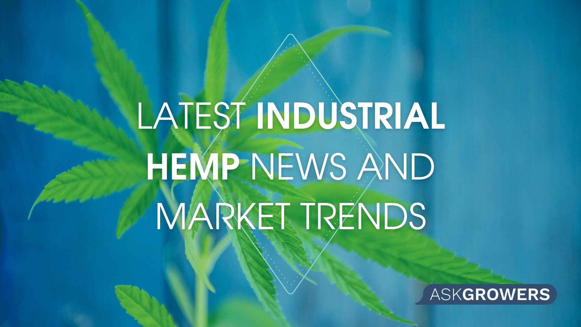 Latest Industrial Hemp News and Market Trends, AskGrowers
