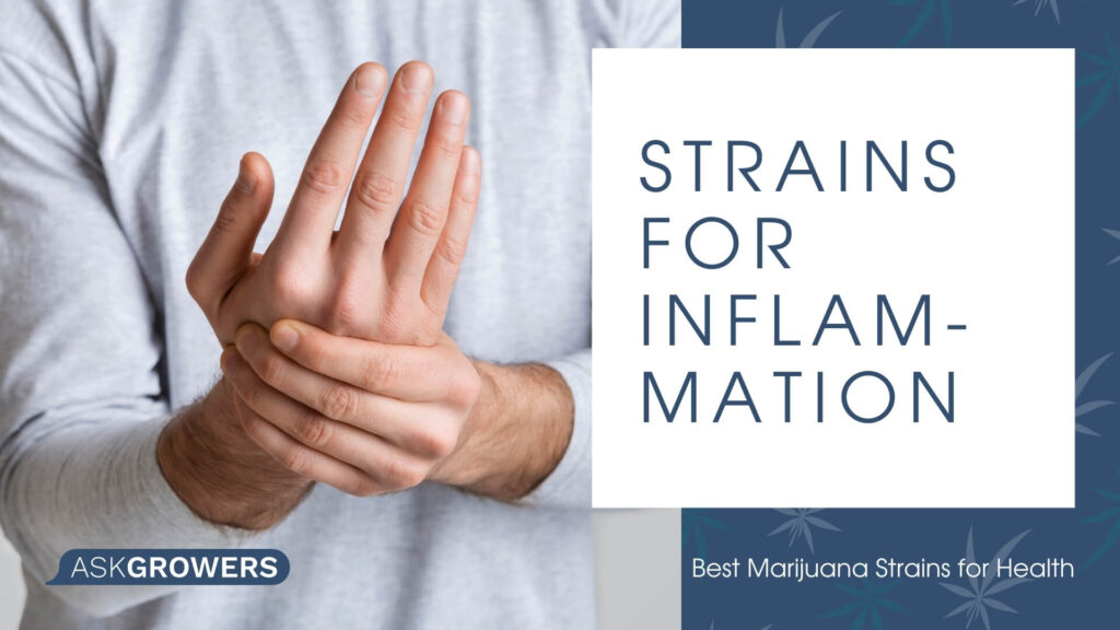 strains for inflammation