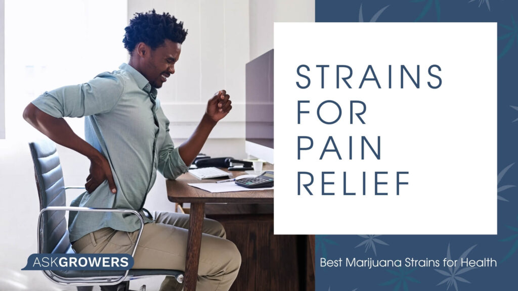 Strains for Pain Relief