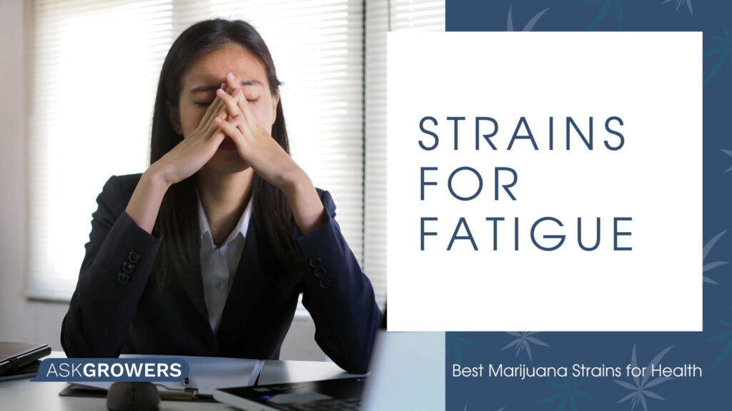 Strains to Fight Fatigue