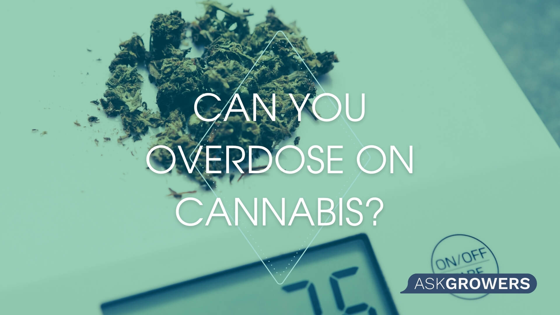 Can You Overdose From Consuming Cannabis?, AskGrowers